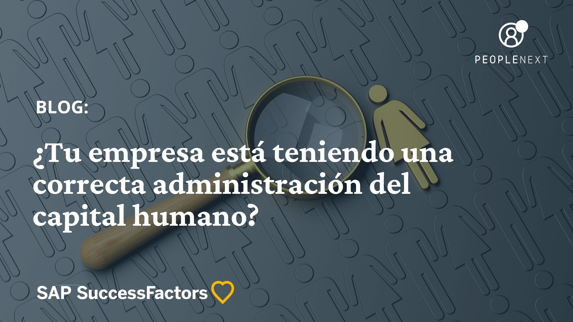 ¿Tu empresa está teniendo una correcta administración del capital humano?